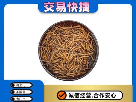 大连瓦房店市高价回收散虫草
